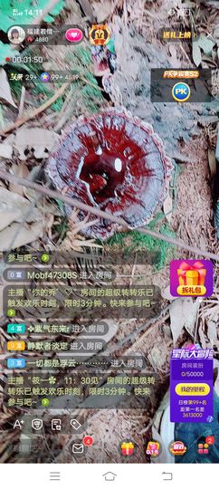 ……若主播照片