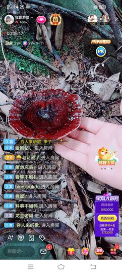 ……若主播照片