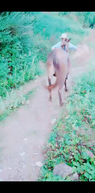 山青水秀