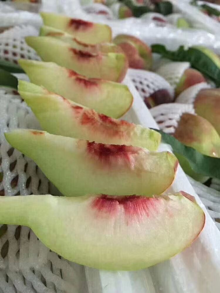 @约定@米兰水果@的图片