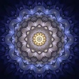 დ释怀დ主播照片