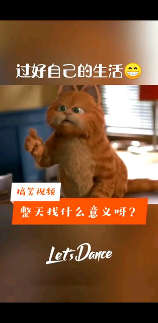 找什么意义呢😂