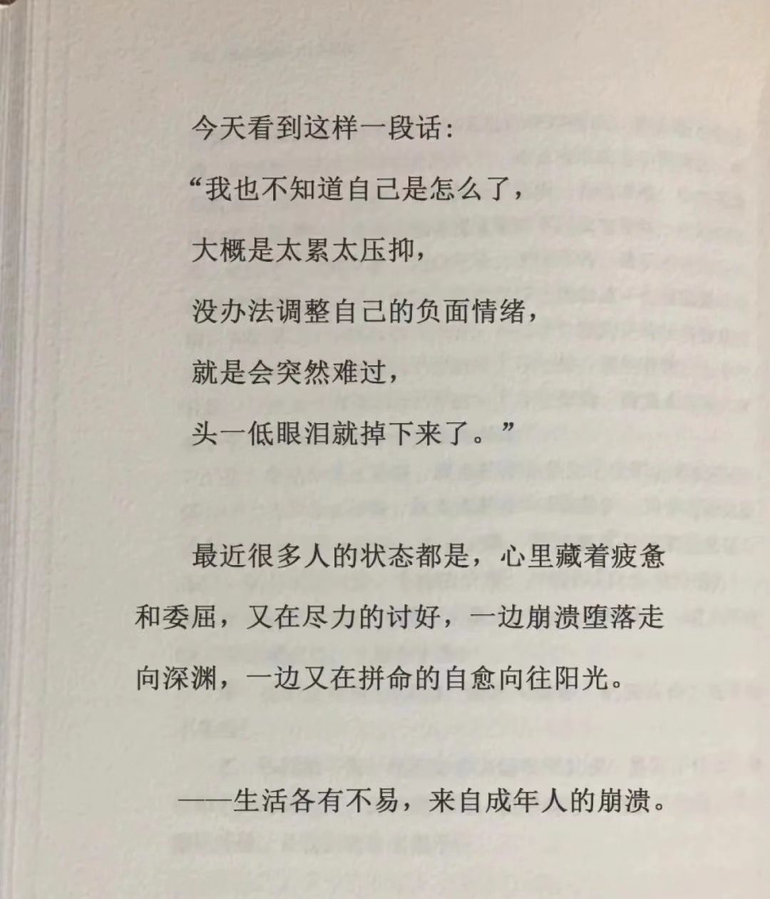 🐯双双🍀的图片