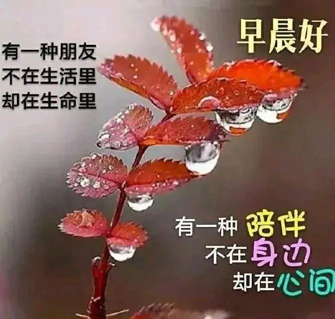 小丽~休的主播照片