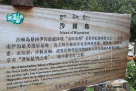 实力决定话语权主播照片