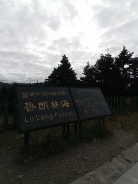 实力决定话语权主播照片