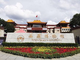 实力决定话语权主播照片