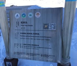 实力决定话语权主播照片