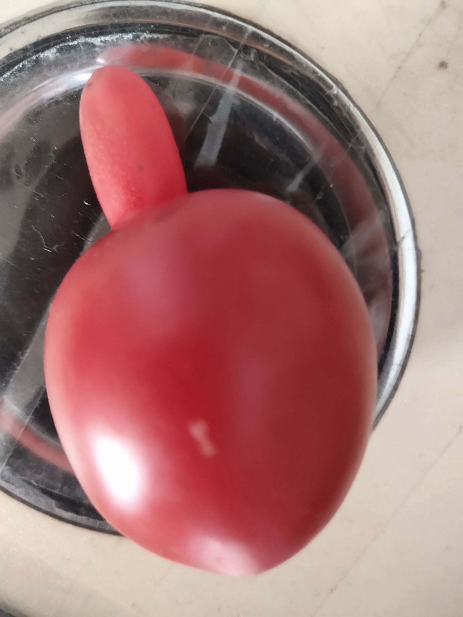 丑小鸭💞愿有一束光的图片