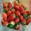 宝珠山草莓采摘🇨🇳