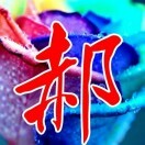 为了你g4