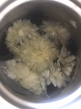 🌻ℱ七-安静唱歌主播照片
