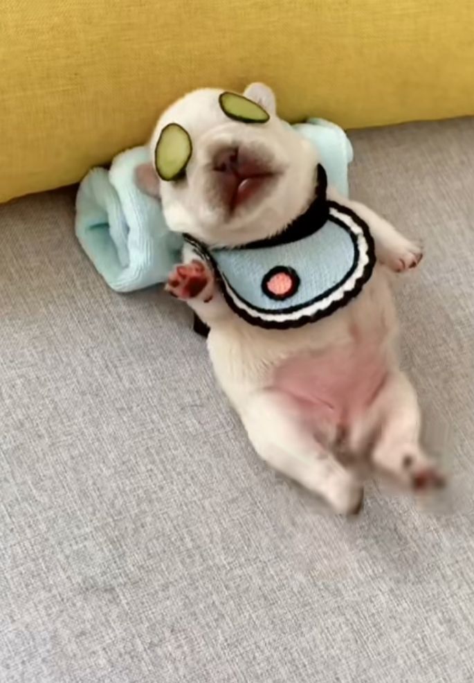 丑小鸭💞愿有一束光的图片