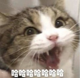 小七不小主播照片
