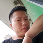 户外猪海报