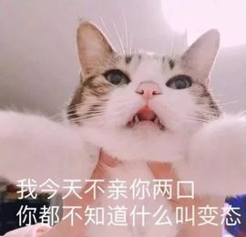 小奶猫谢谢哥哥们主播照片