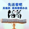 人间y过客的头像