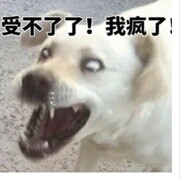 Zong叔叔