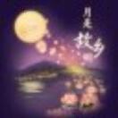 （情深）⛵