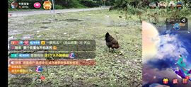 别了，聊聊天主播照片