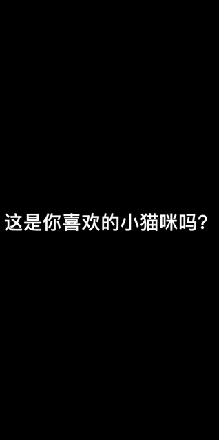 艿豆豆是你喜欢的小猫咪吗？