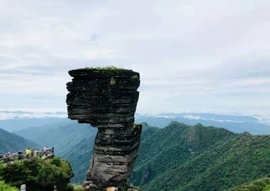 槑呆槑槑呆槑🐼主播照片