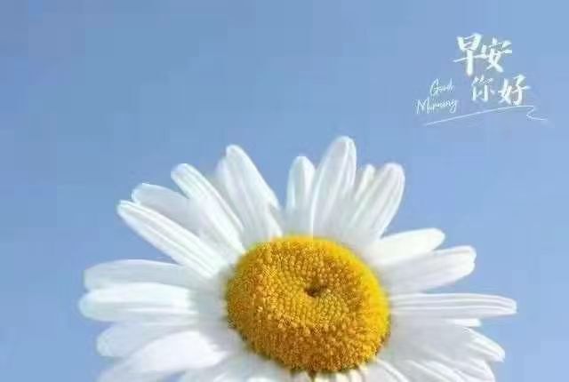 婷婷💕感恩有你陪伴的图片