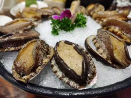 ♬情怀主播照片