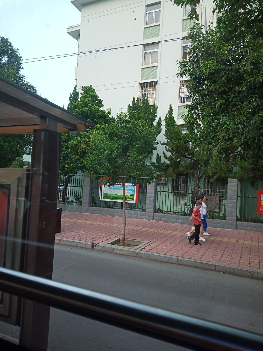 果果(平安好运)的图片