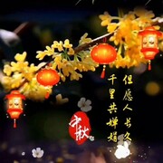 江湖uuq的头像
