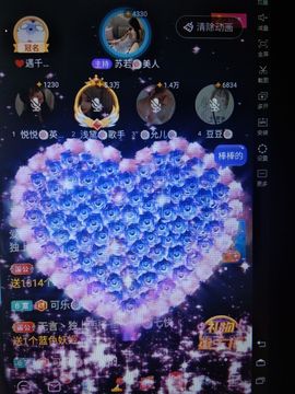 暮雪🍁升7冠主播照片