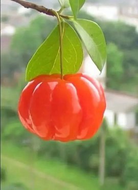 დ释怀დ主播照片