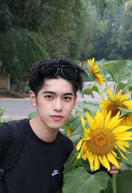 梅花貳十三的图片