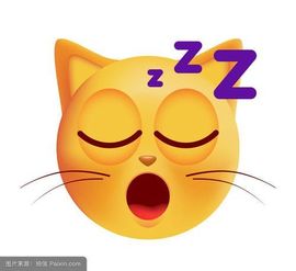 安琪同学的图片