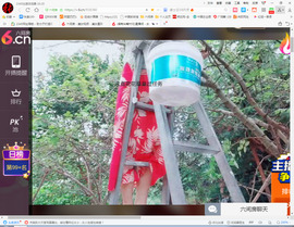 保利哥主播照片