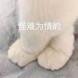 小奶猫谢谢哥哥们主播照片
