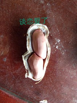 现实✔差距主播照片