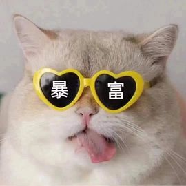 羊zybj主播照片