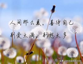 沁馨ღ求百元榜主播照片