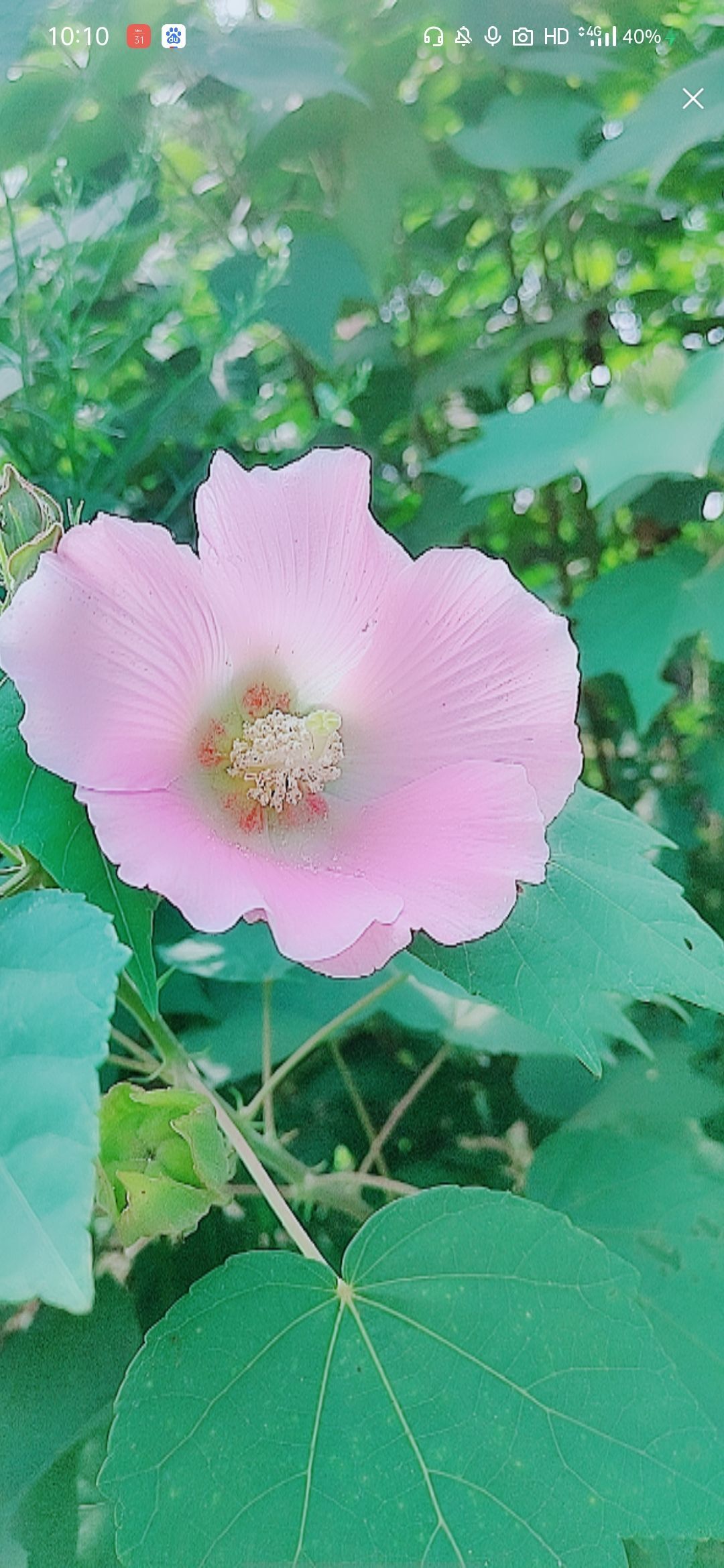 婷婷💕感恩有你陪伴的图片