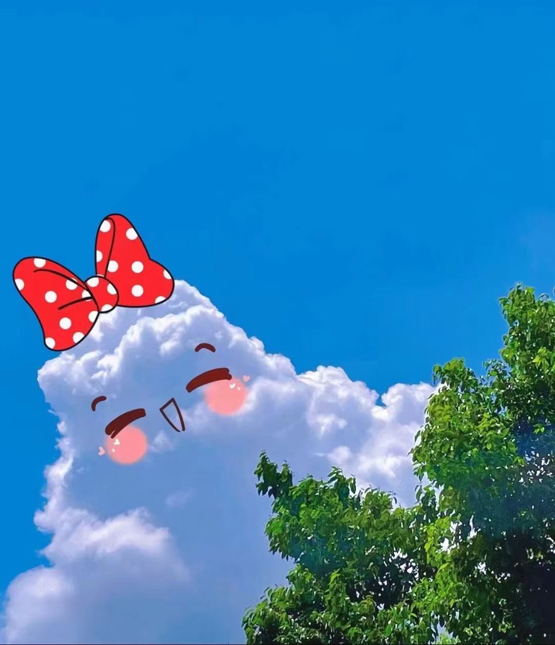 安琪同学的图片