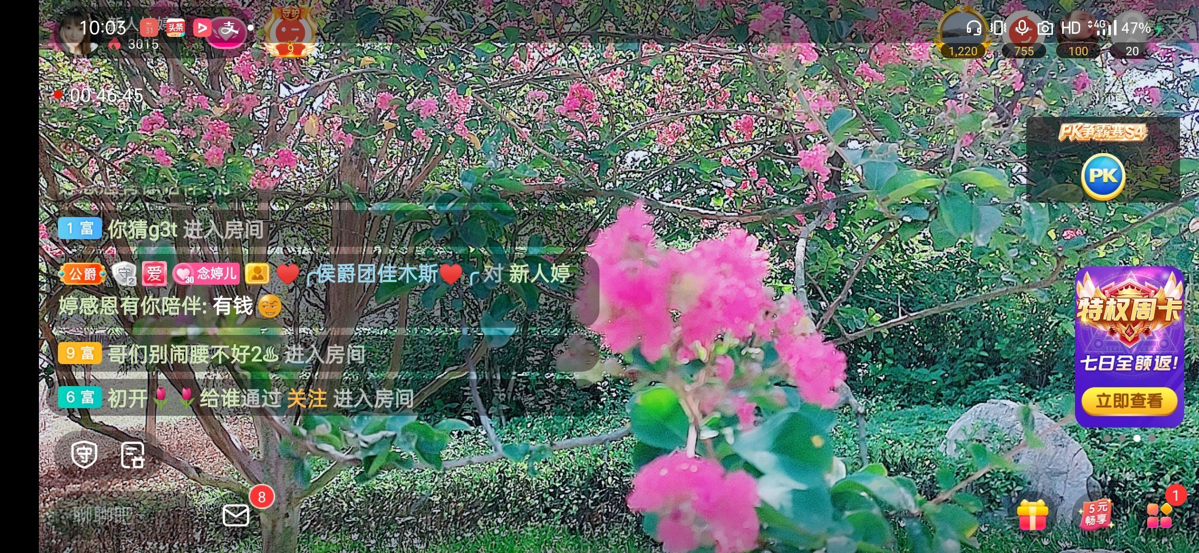 婷婷💕感恩有你陪伴的图片