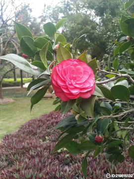 დ释怀დ主播照片