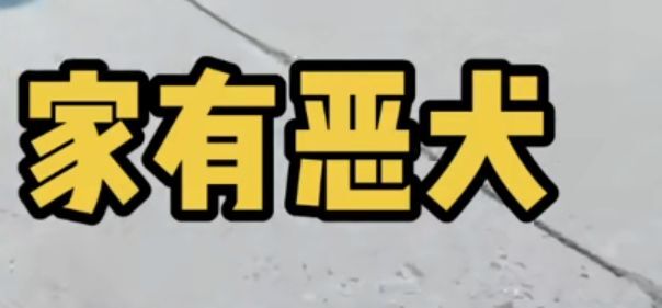丑小鸭💞愿有一束光的图片