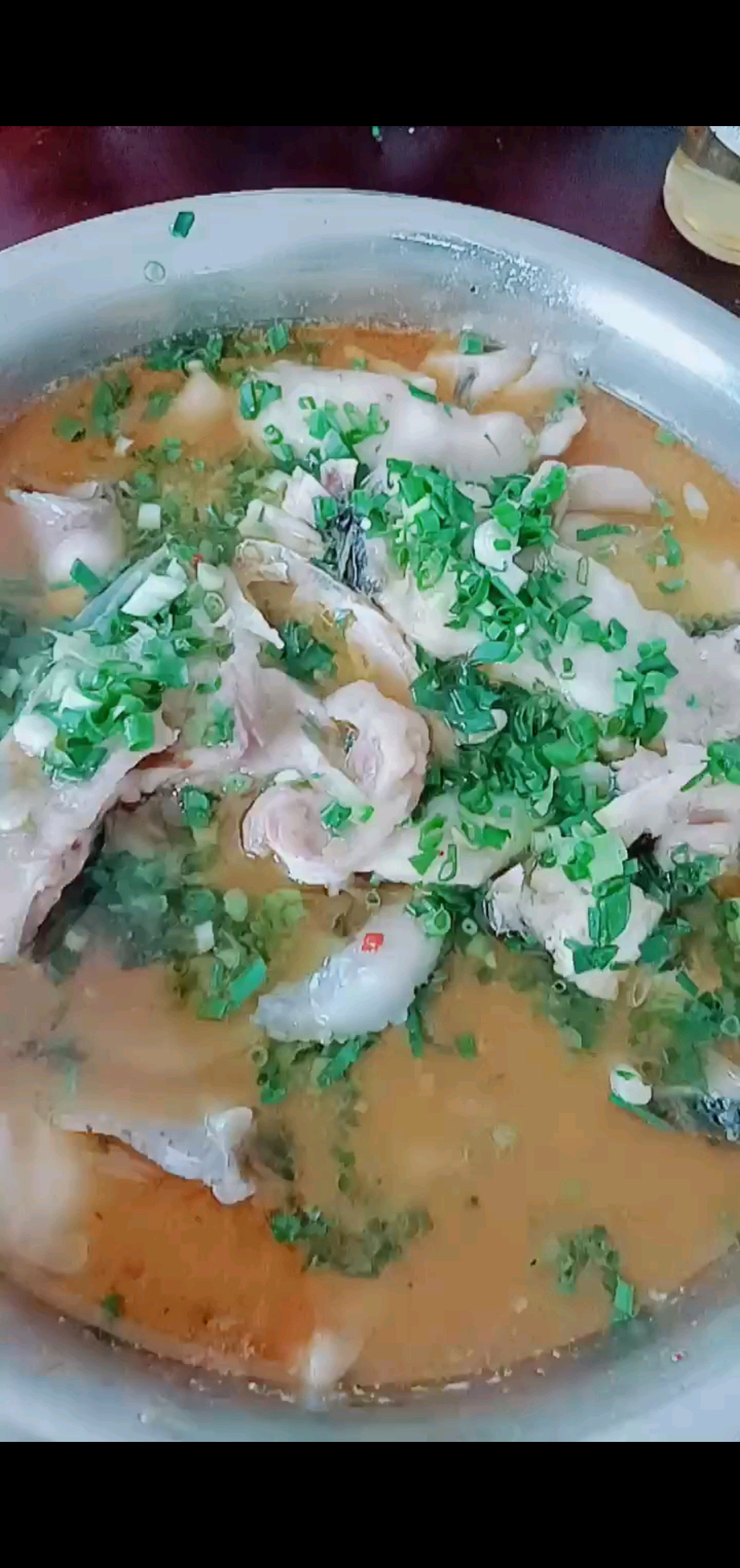 鱼🐟掰掰