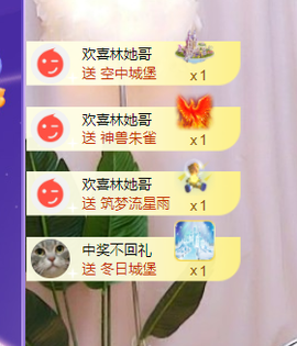 二蛋滑板鞋主播照片