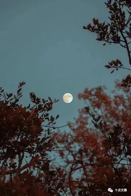 დ释怀დ主播照片