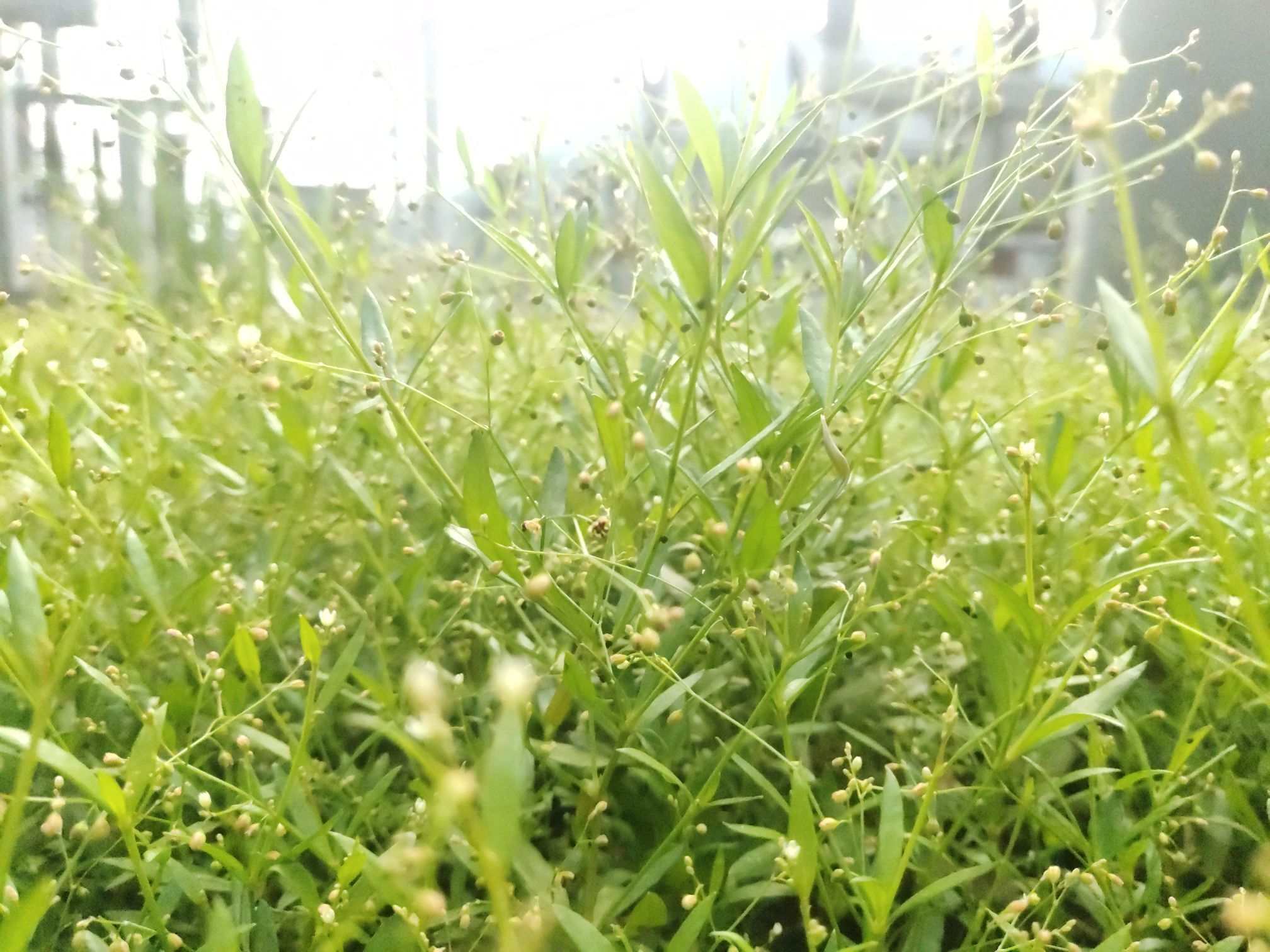 一壶浊酒™的图片
