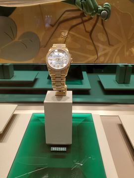 凱晴6726主播照片