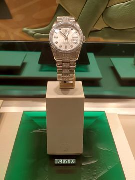 凱晴6726主播照片